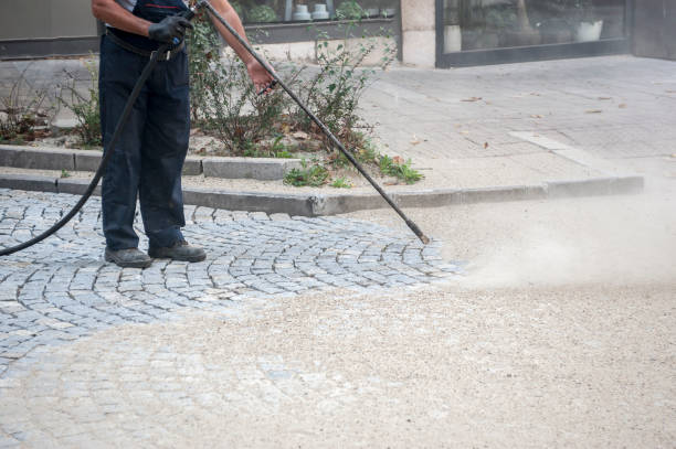 Best Pre-Holiday Cleaning  in Los Ranchos, CA